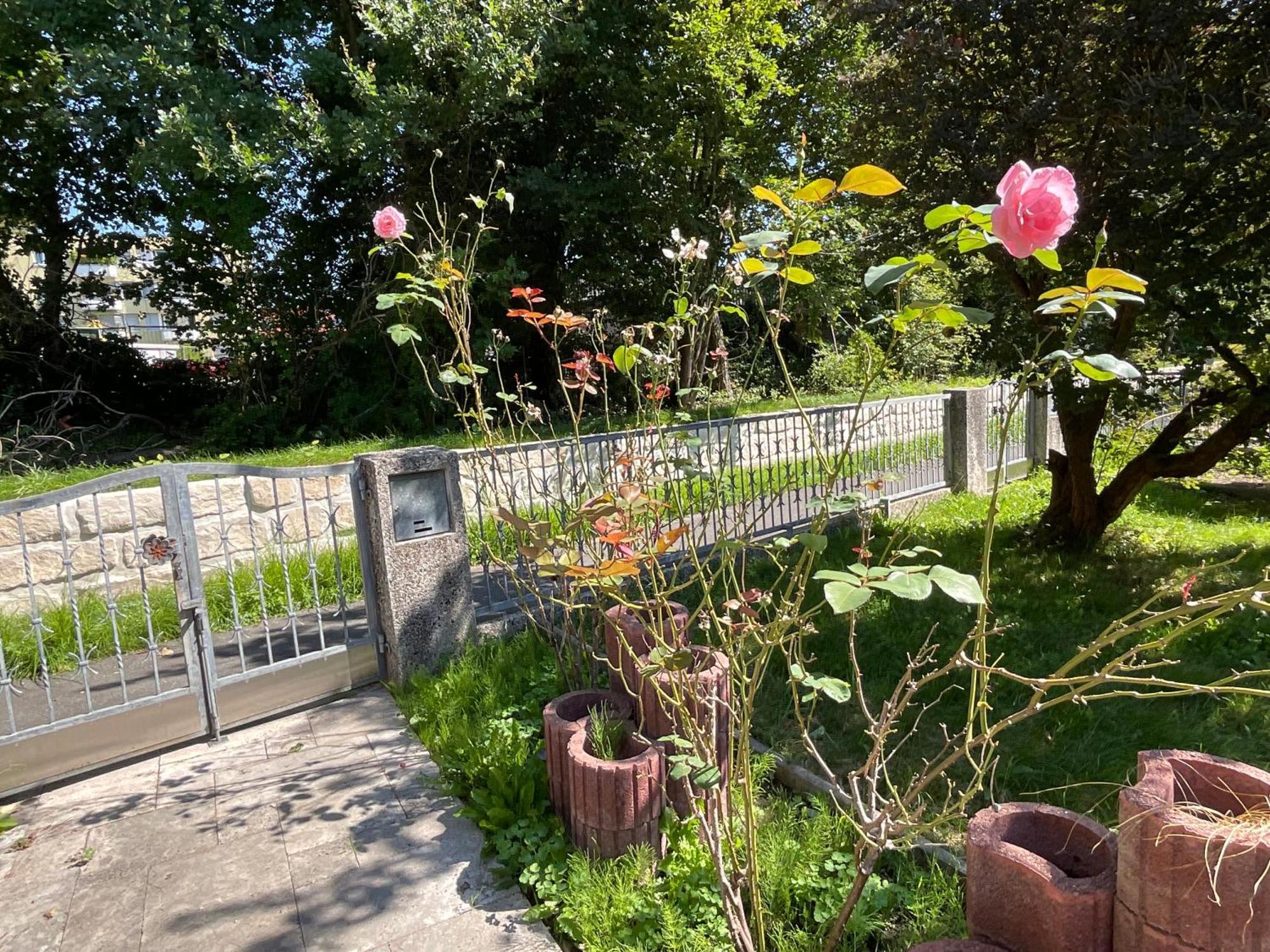 Messe-Apartment, 4 Schlafzimmer, 80 Qm, Garten - 6 Km Zur Messe, Verkehrsguenstig, Ruhig, Parkplaetze Nuremberg Bagian luar foto
